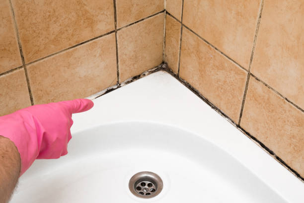 Best Residential Mold Removal  in Dilley, TX